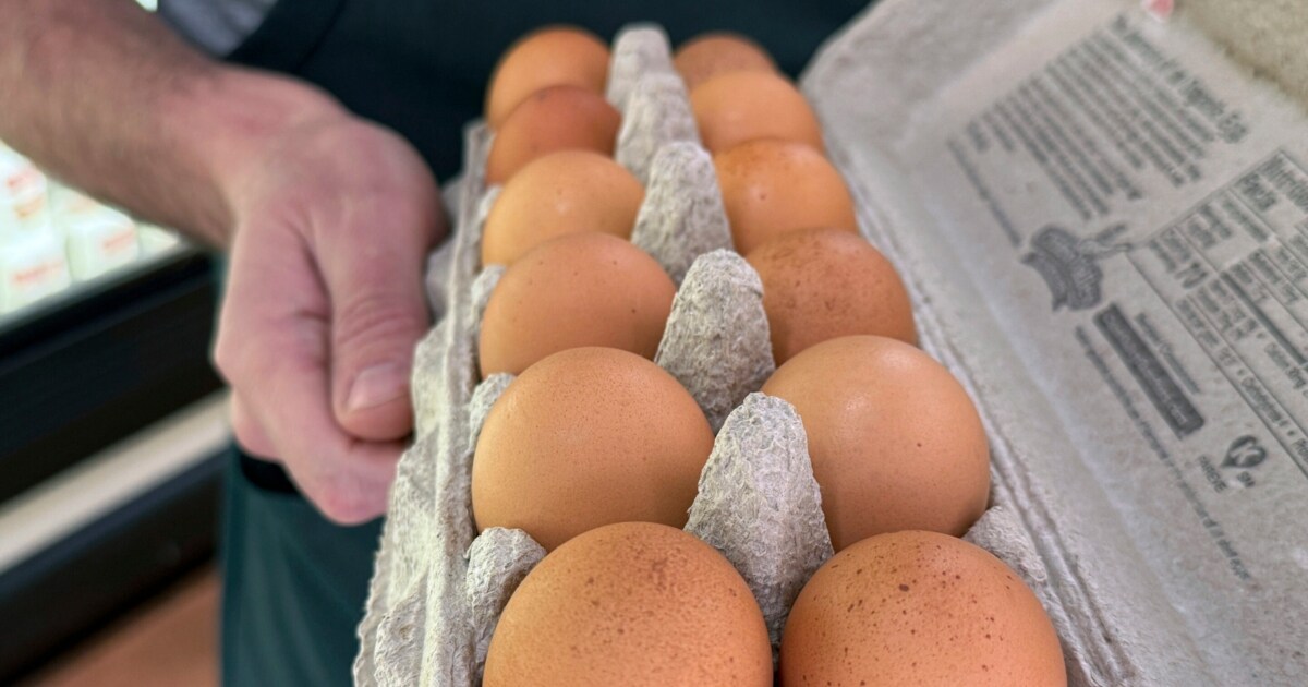 Dramatic climb – US: Bird flu allows prices for eggs to explode