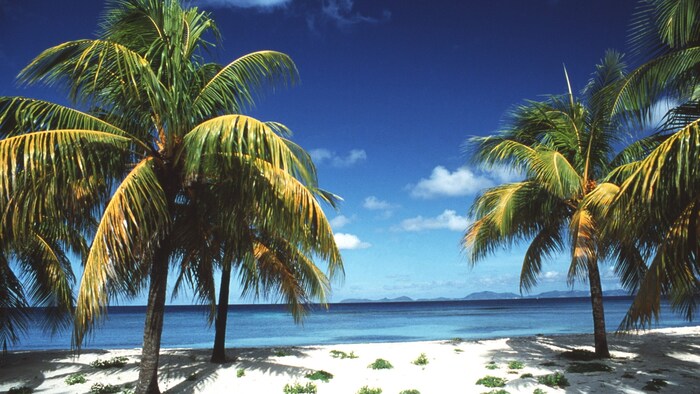 Mustique ist eine private Trauminsel mit Luxusvillen und makellosen Stränden. Völlig abgeschirmt ...