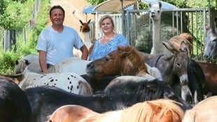 Eingeschworenes Spitzenteam: Ingrid und Michael Stracke mit einigen ihrer vierbeinigen ...