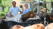 Eingeschworenes Spitzenteam: Ingrid und Michael Stracke mit einigen ihrer vierbeinigen ...