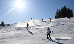 Ein früher Wintereinbruch mit Schneefällen hat sich in dieser Saison positiv ausgewirkt.