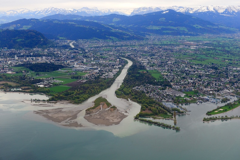 A unique plant world can be found on the shores of Lake Constance in Bregenz. (Bild: Wikipedia / Friedrich Böhringer)