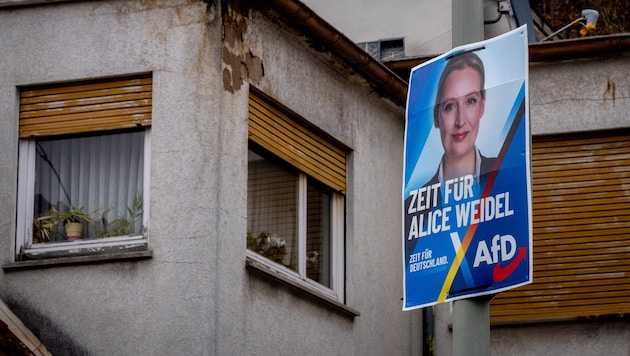 Alice Weidel and her party are in second place in the polls. (Bild: Michael ProbstAP)