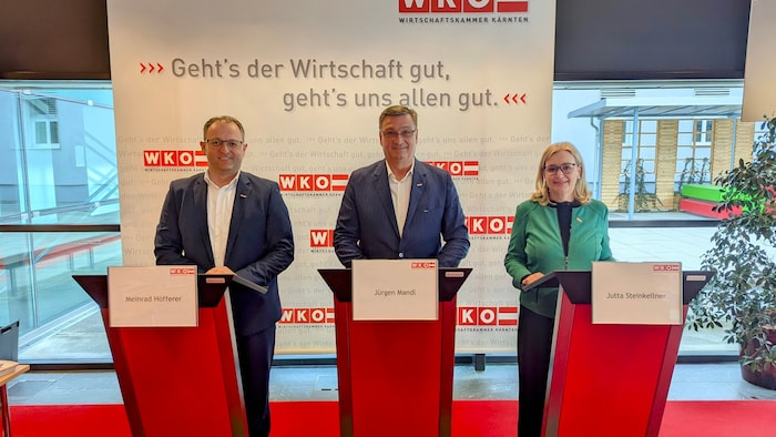 WK-Direktor Meinrad Höfferer, WK-Präsident Jürgen Mandl und Jutta Steinkellner, Leiterin des ...