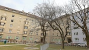 Am Haydnplatz 5 im Innsbrucker Stadtteil Saggen gibt es ein Wanzenproblem.