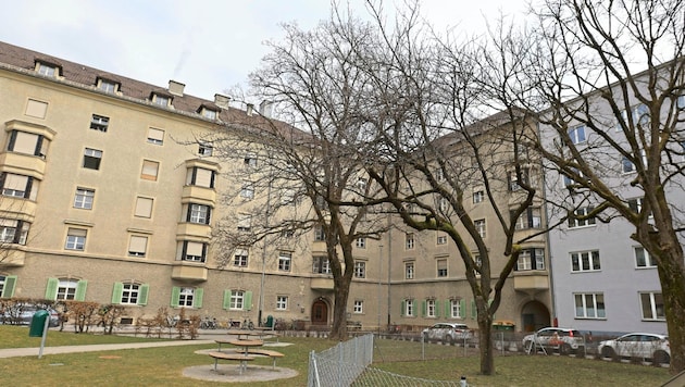 Am Haydnplatz 5 im Innsbrucker Stadtteil Saggen gibt es ein Wanzenproblem. (Bild: Johanna Birbaumer)