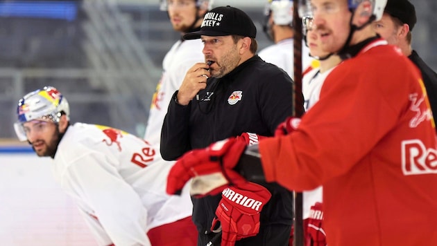 Trainer David (M.) hatte gestern nicht alle Bulls im Training.  (Bild: Tröster Andreas)