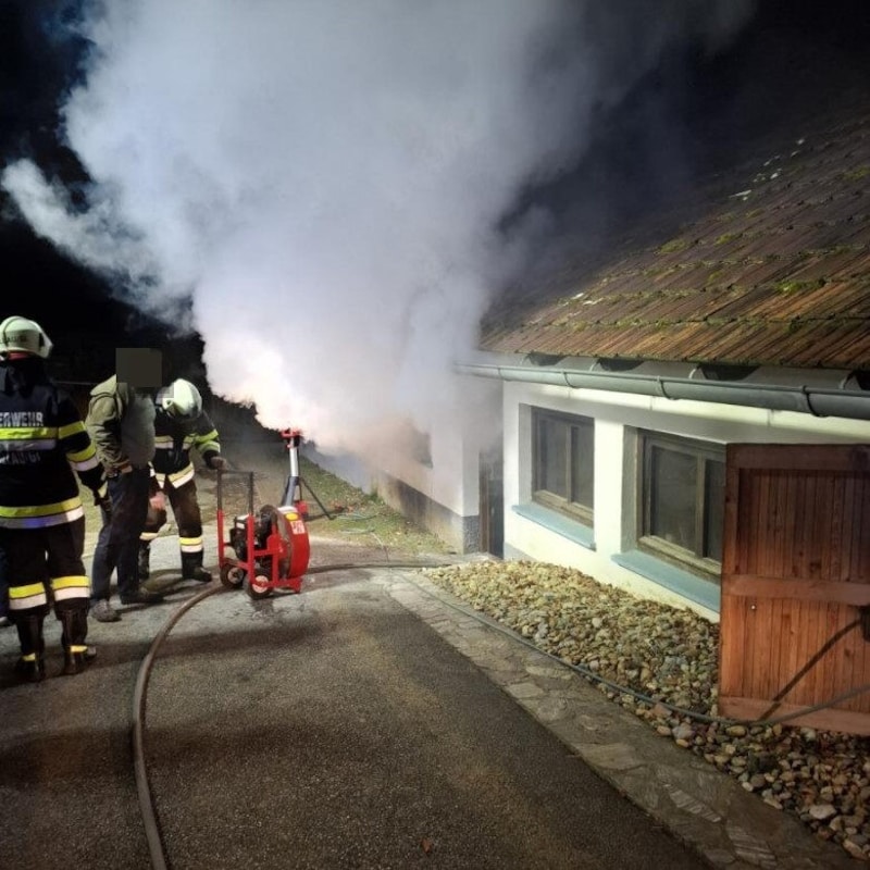 Operation on a property in Markt Hartmannsdorf (Bild: FF Markt-Hartmannsdorf/Krone KREATIV)