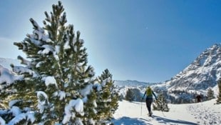 Neuschnee in den Seetaler Alpen, Winterträume am Winterleitensee und eine Tour, die Schneeschuhe und Schlitten vereint. (Bild: Weges )