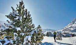 Neuschnee in den Seetaler Alpen, Winterträume am Winterleitensee und eine Tour, die Schneeschuhe ...