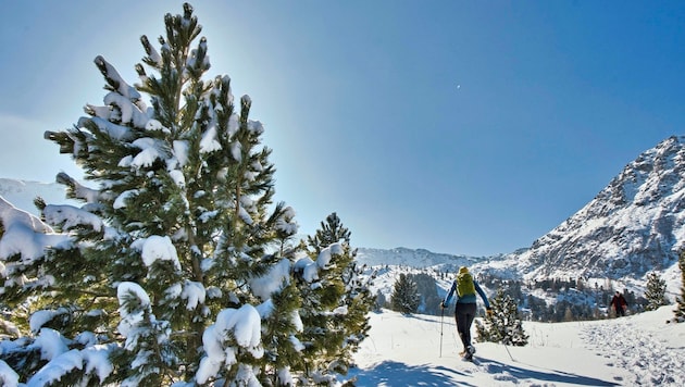 Fresh snow in the Seetal Alps, winter dreams at the Winterleiten lake and a tour that combines snowshoes and sledges. (Bild: Weges )