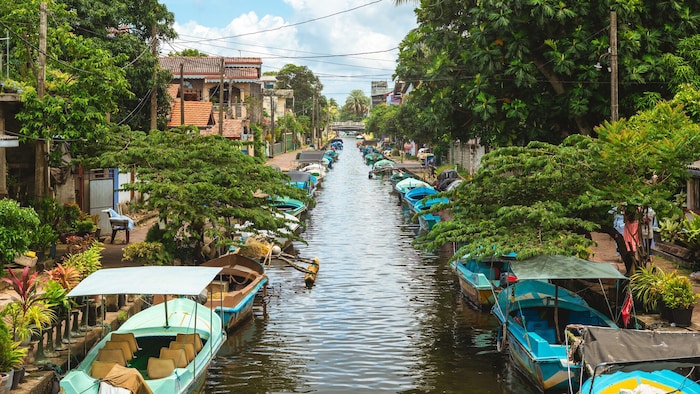 Der berühmte Hamilton Canal im Herzen von Negombo.