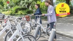 Das Wienmobil-Leihrad erfreut sich vor allem bei warmen Temperaturen großer Beliebtheit. (Bild: Krone KREATIV/Stephan Doleschal)