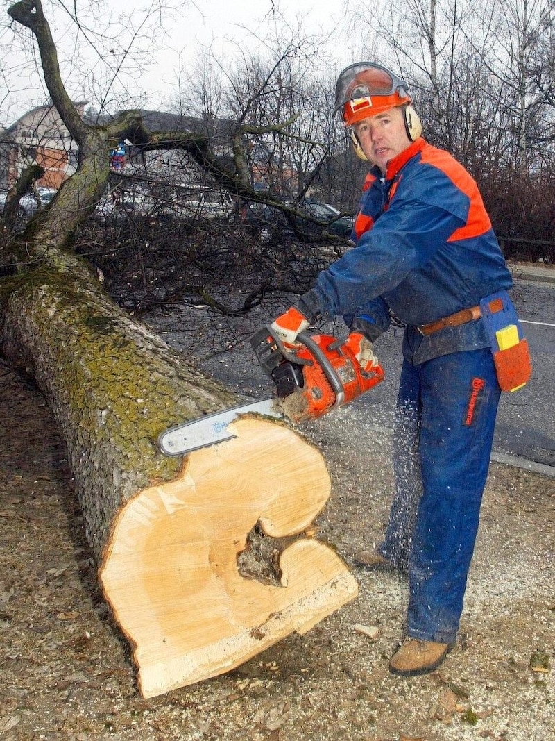 Gerhard Dörfler packte selbst mit an.  (Bild: Krone Archiv)