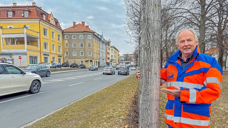 Today, 20 years after his secret action that changed Klagenfurt, Gerhard Dörfler is happy that beautiful, healthy trees are growing around the ring road again and traffic is flowing. (Bild: Wallner Hannes)