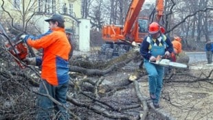 Der 20. Februar 2005: Der Tag, an dem die Kettensäge in Klagenfurt Politik machte.  (Bild: Krone Archiv)