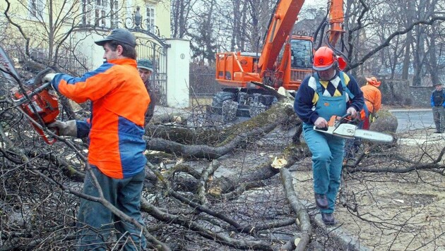 February 20, 2005: The day the chainsaw made politics in Klagenfurt. (Bild: Krone Archiv)