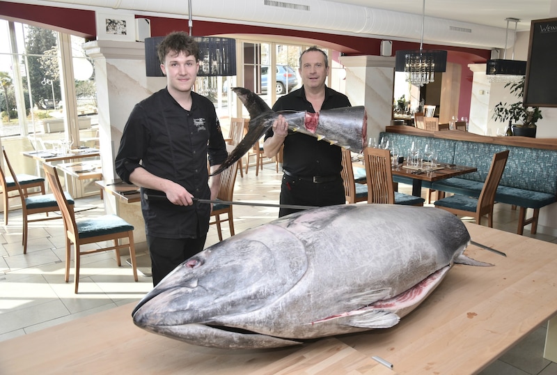 Fast 300 Kilo wiegt der Fisch. (Bild: Roland Holitzky)