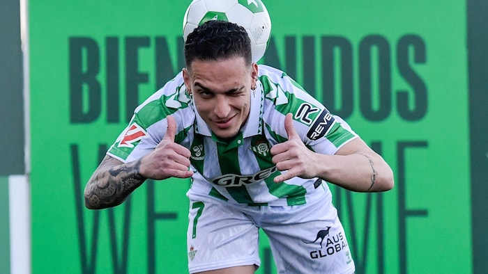 Fühlt sich bei Betis wohl: Brasiliens Antony