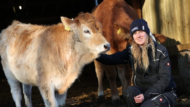 Jana Windisch mit dem mittlerweile genesenen Kalb „Selma“ in Lustbühel.  (Bild: Jauschowetz Christian)