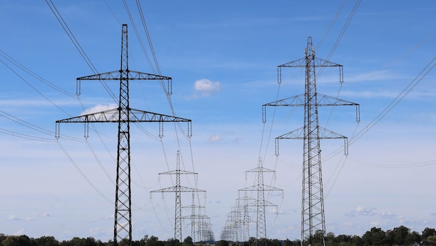 Um den Bau einer solchen 110-kv-Leitung ist im Mühlviertel ein Streit entbrannt. (Bild: Pressefoto Scharinger/Daniel Scharinger)