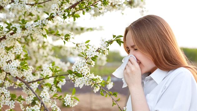 Sneezing, itching, tearing - allergies can be a nuisance (symbolic image). (Bild: Shutterstock)