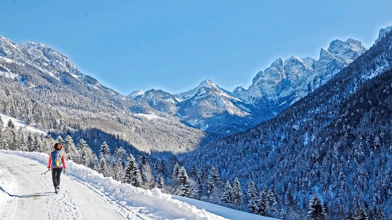 The "Koasa" provides a magnificent mountain panorama on this tour. (Bild: Peter Freiberger)