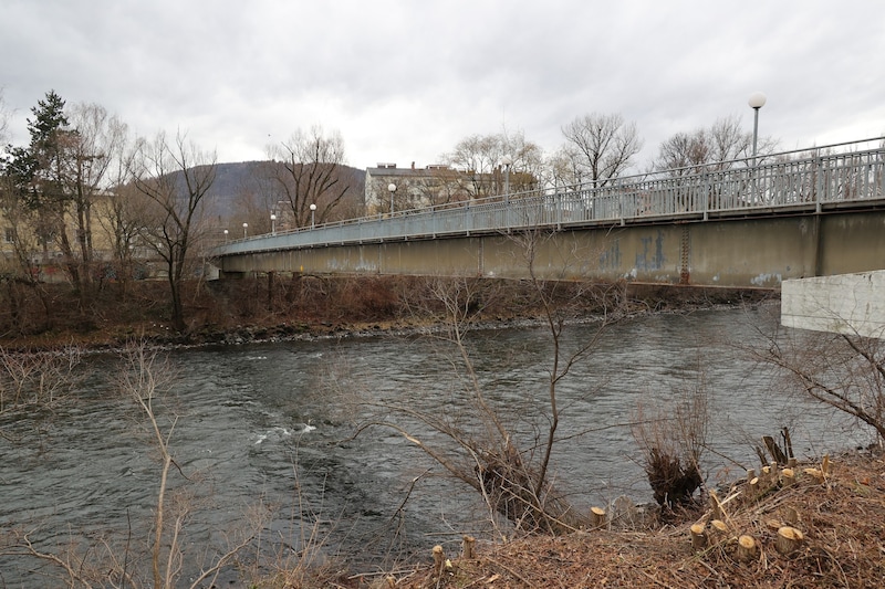 The Pongratz-Moore footbridge is an important link between the districts of Andritz and Gösting. (Bild: Jauschowetz Christian)