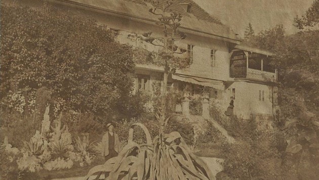 The flowering Agave americana in the palace garden in 1876. This valuable photograph is the only one known to date to document the garden in Lippitzbach. (Bild: Geschichtsverein Kärnten)