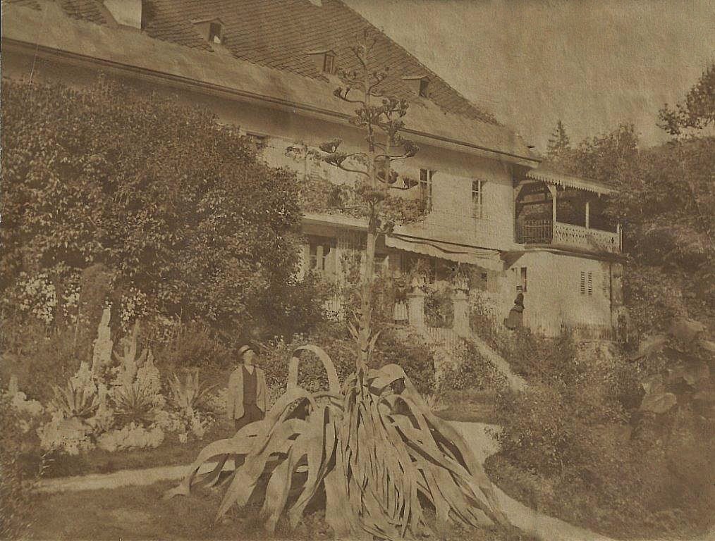 The flowering Agave americana in the palace garden in 1876. This valuable photograph is the only one known to date to document the garden in Lippitzbach. (Bild: Geschichtsverein Kärnten)