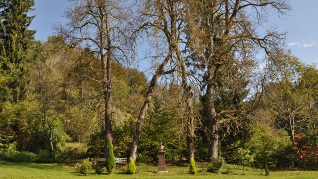 The castle courtyard with the Egger monument and the hundred-year-old horse chestnut trees. (Bild: Geschichtsverein Kärnten)