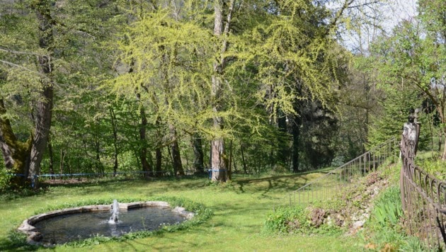 The lowest terrace of the Lippitzbach castle garden with the water basin and a gingko tree today. (Bild: Geschichtsverein Kärnten Roland Bäck)