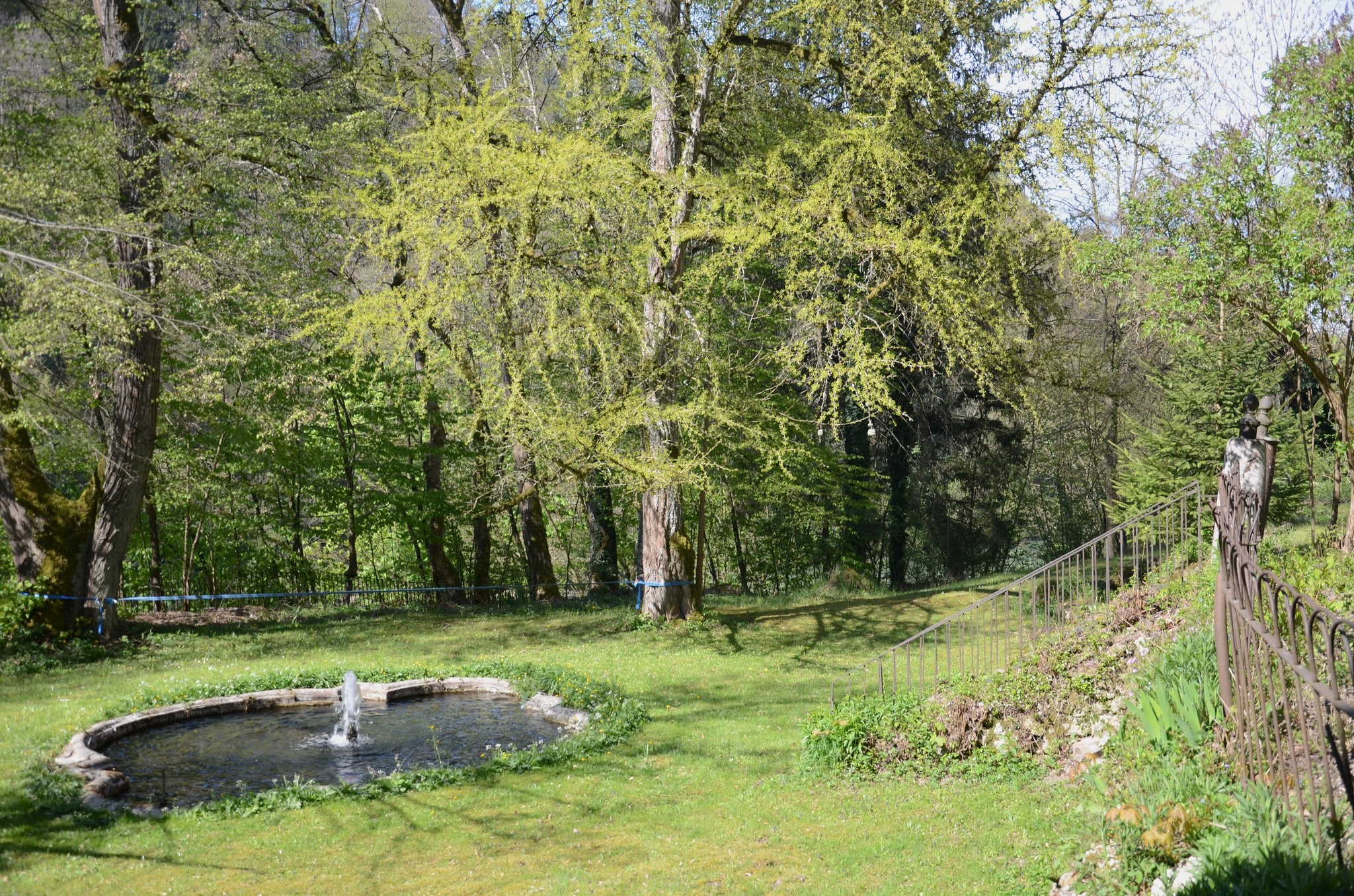 The lowest terrace of the Lippitzbach castle garden with the water basin and a gingko tree today. (Bild: Geschichtsverein Kärnten Roland Bäck)