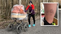 Astrid Hinterreiter war mit dem Kinderwagen spazieren, als plötzlich zwei Hunde auf sie losgingen. (Bild: Krone KREATIV/Astrid Hinterreiter)