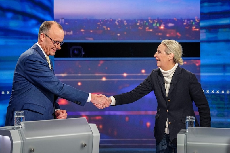 Merz und Weidel (Bild: AFP)