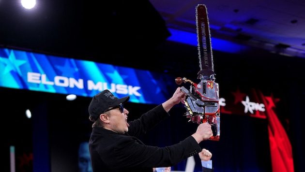 Elon Musk wields the "bureaucracy" chainsaw of Argentina's President Milei. (Bild: 2025 Getty Images)