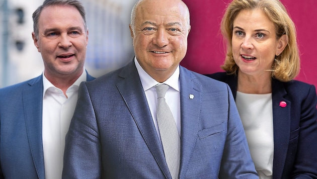 Christian Stocker and Andreas Babler want to secure a more stable majority in parliament with Beate Meinl-Reisinger's NEOS. (Bild: Krone KREATIV/APA/Georg Hochmuth, Martin A. Jöchl, Mario Urbantschitsch)