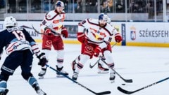 Als die Bulls die Partie im Griff hatten, traf Rowe (19) sogar in Unterzahl zum 3:0. (Bild: Marton Monus - EC Red Bull Salzburg)