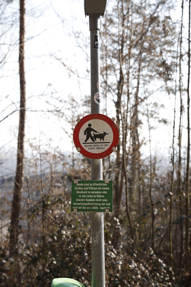 Am Tatort verweist ein Schild auf Leinen- und Maulkorbpflicht – der Rottweiler riss sich dennoch los, vom Maulkorb stellten Beamte einen abgebrochenen Lederriemen fest (Bild: Scheriau Erwin)