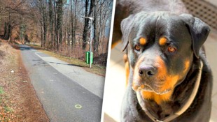 Am Friedhofweg in Gratwein nördlich von Graz (li.) ereignete sich die Hundeattacke eines Rottweilers (hier ein Symbolbild) (Bild: Erwin Scheriau, Tiko Klagenfurt)