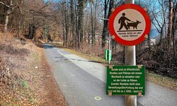 Am Friedhofweg in Gratwein nördlich von Graz ereignete sich die Hundeattacke
