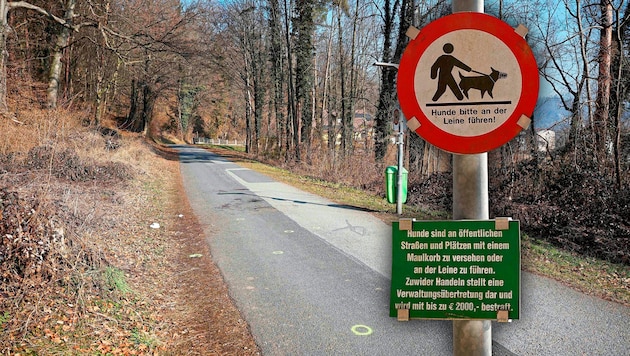 Am Friedhofweg in Gratwein nördlich von Graz ereignete sich die Hundeattacke (Bild: Krone KREATIV/Erwin Scheriu)