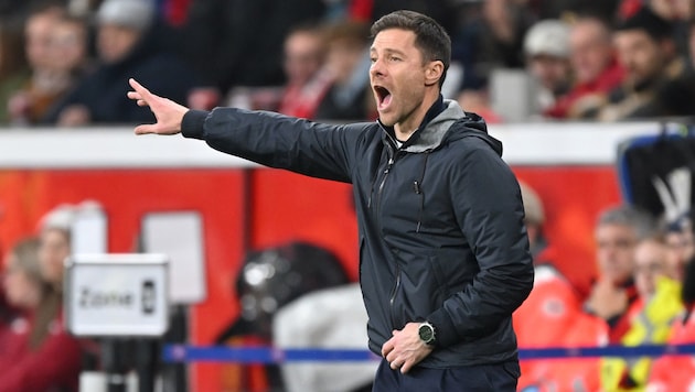 Leverkusen-Trainer Xabi Alonso (Bild: GEPA)