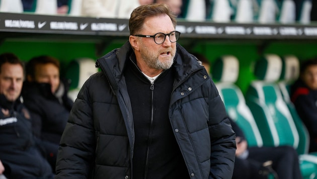 Wolfsburg-Trainer Ralph Hasenhüttl (Bild: AFP or licensors)