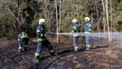 Mit zwei HD-Rohren wurde gegen das Feuer gekämpft. (Bild: TEAM FOTOKERSCHI / FRANZ PLECHIN)