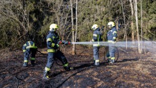 Mit zwei HD-Rohren wurde gegen das Feuer gekämpft.