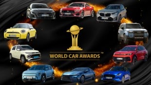 (Bild: Krone KREATIV/World Car Awards, Hersteller)