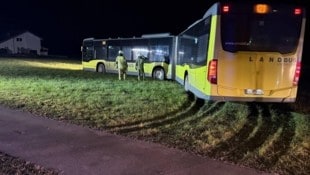 Beim Ausflug ins Grüne entstand größerer Flurschaden. (Bild: Feuerwehr Hohenweiler)