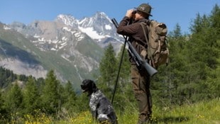 Die Jägerschaft soll mehr Wild schießen, damit die Verjüngungsdynamik im Wald zunimmt. Dagegen regt sich Widerstand. (Bild: EXPA/ Johann Groder)