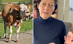 Petra M. wurde bei der Kuh-Attacke unter anderem schwer im Gesicht verletzt.